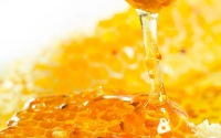 Как отличить натуральный мёд от подделки